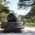 The Impact of Athletic Scholarships on Students in Mobile County, Alabama: An Expert's Perspective